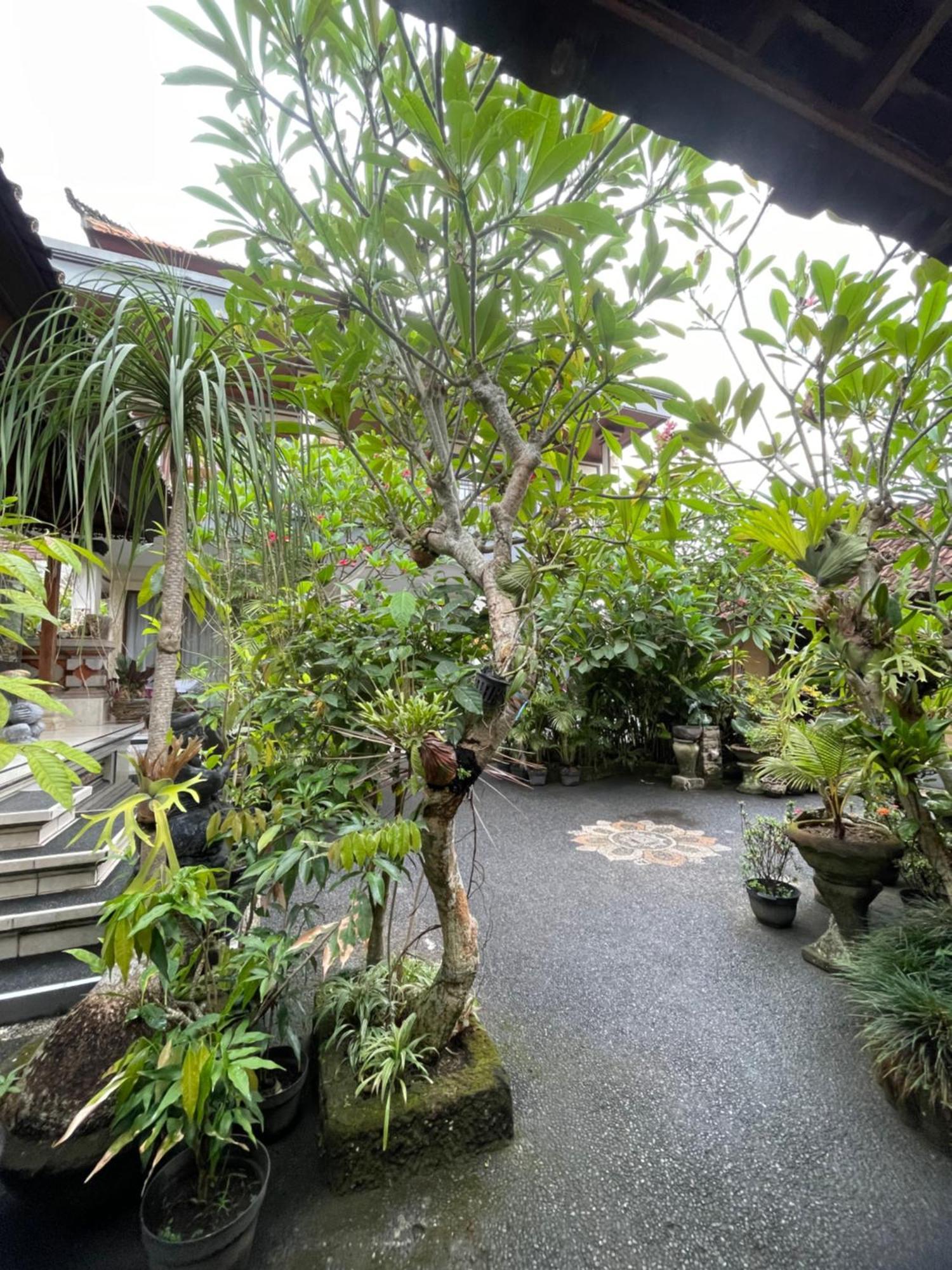 Suntari Homestay Ubud Esterno foto